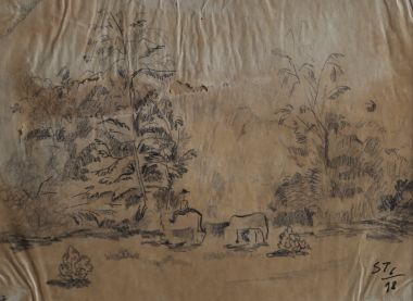 Binh Thuan landscape - Nguyễn Sĩ Thiết 