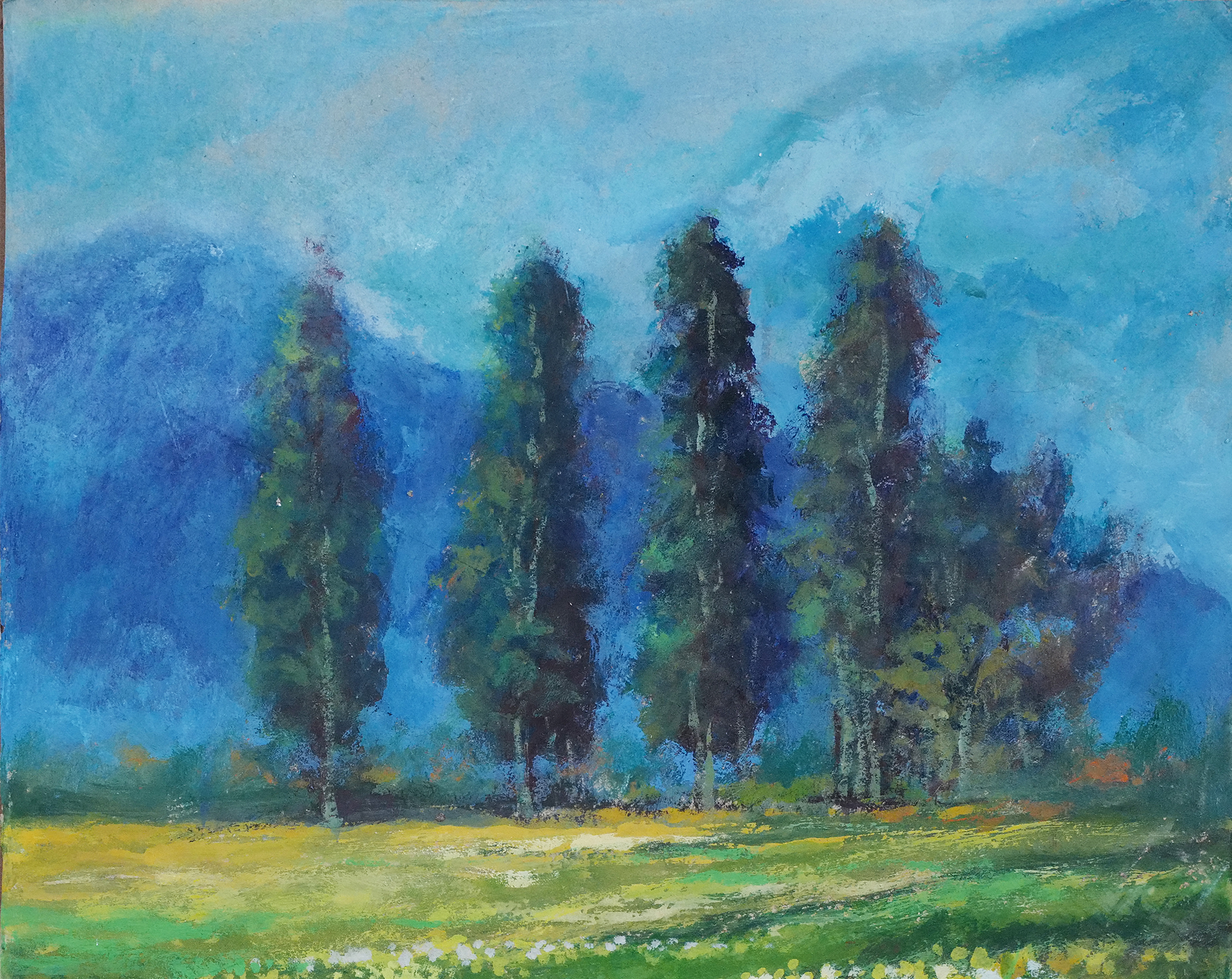 Phong cảnh - Nam Anh